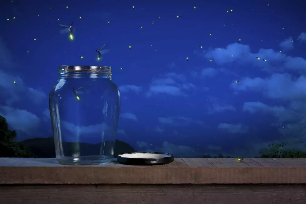 Fireflies in a jar at night