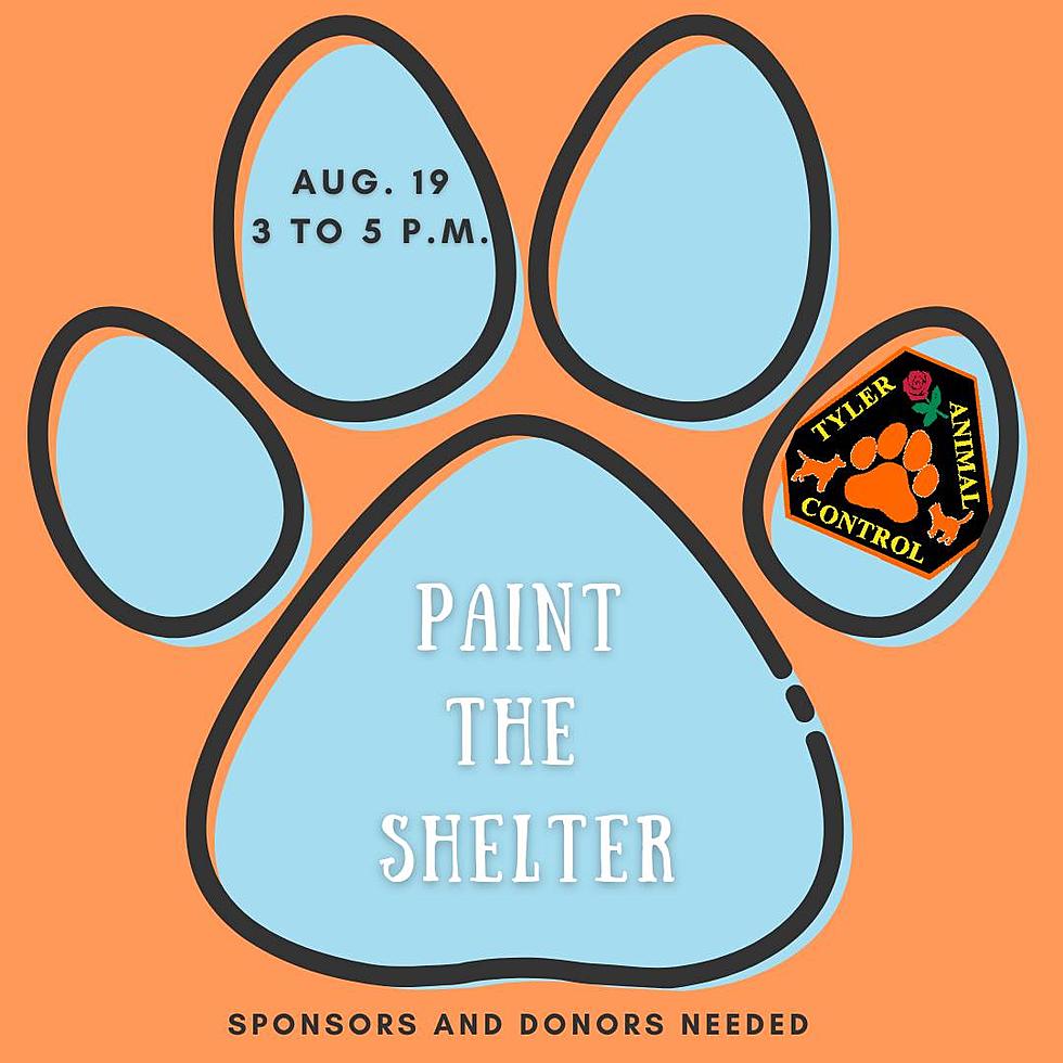 Tyler’s ‘Paint the Shelter’ is Aug. 19. Check Out New Artwork and Maybe Meet a Fur-Ever Friend!