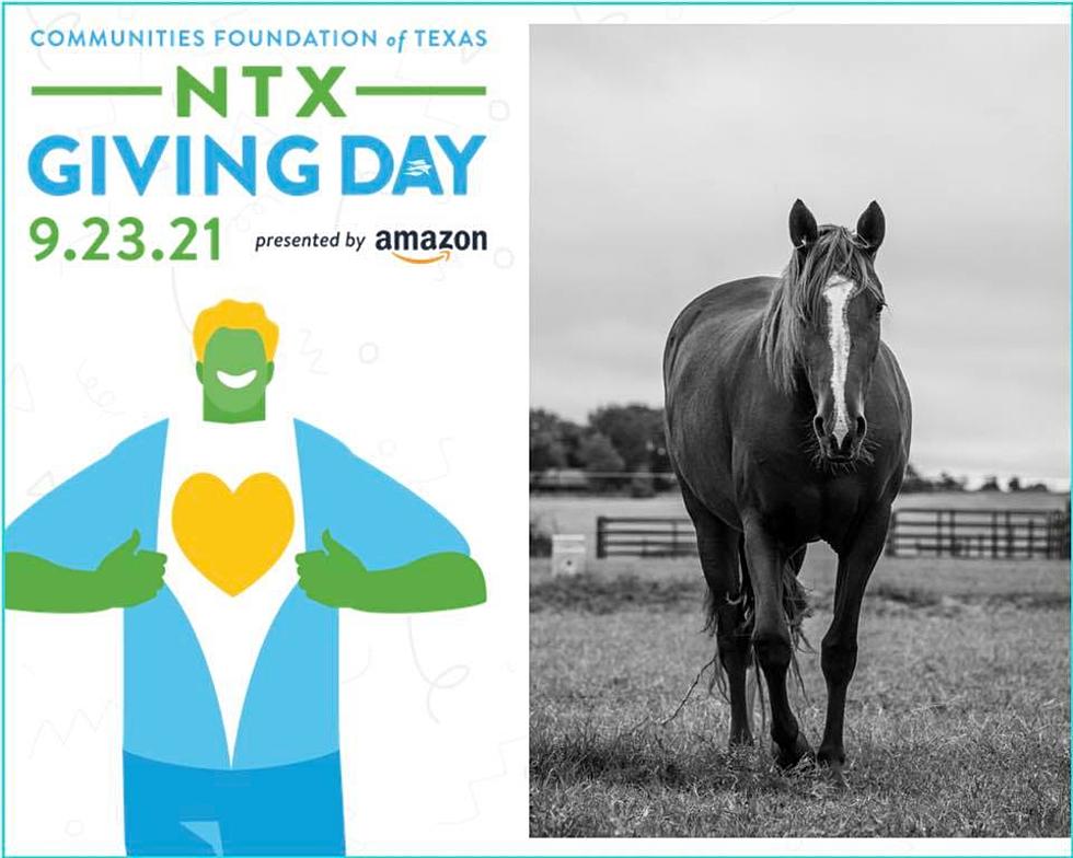 Help The Pegasus Project on NTX Giving Day Sept 23, and Help Ida Victims Too