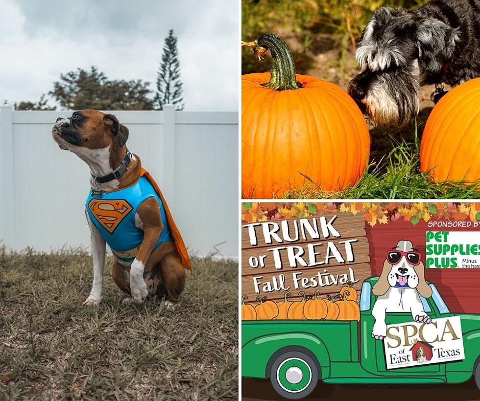 Bring Your Dog to a Fun ‘Trunk-or-Treat’ Festival at Tyler’s Bossart Bark Park!