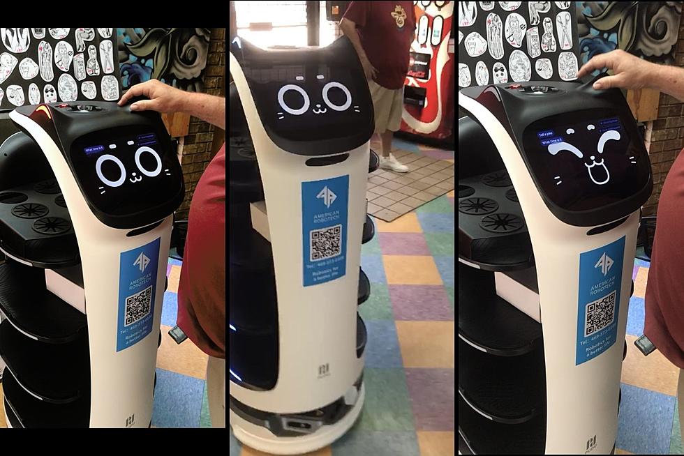 WATCH: &#8216;May I Help You?&#8217; Tyler Store &#8216;Hires&#8217; Customer Service Robot