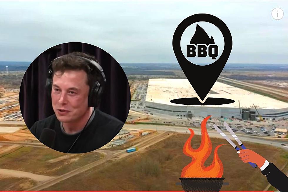 Elon Musk Shares Tesla’s Texas GigaFest to Offer Biggest BBQ in State History