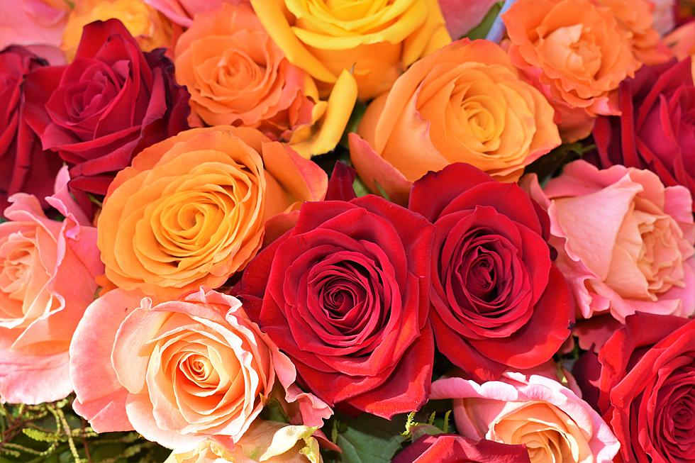 Know Before You Send: Did You Know the Rose Colors Have Different Meanings?