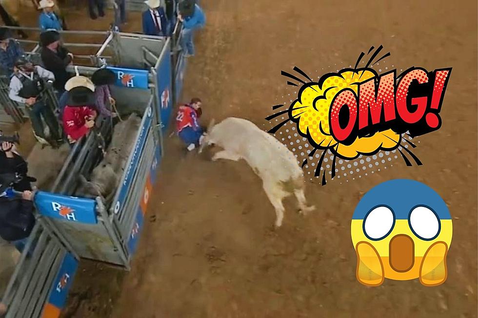 How SCARY! Shocking Video Shows Angry Bull Slam Texas Man into Wall