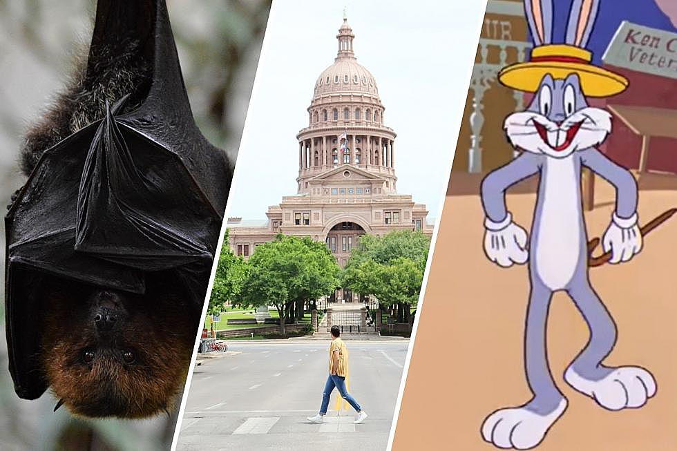 7 Interesting TEXAS Facts I Guarantee You Did Not Know