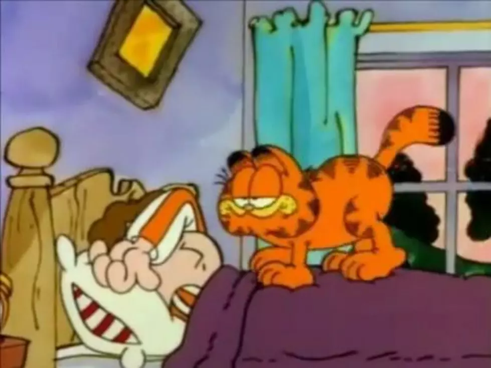 The Entire Garfield Thanksgiving Special for you [VIDEO]