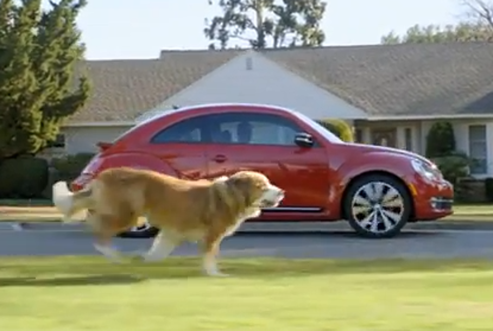 The Dog Strikes Back: 2012 Volkswagen Game Day Commercial [VIDEO]