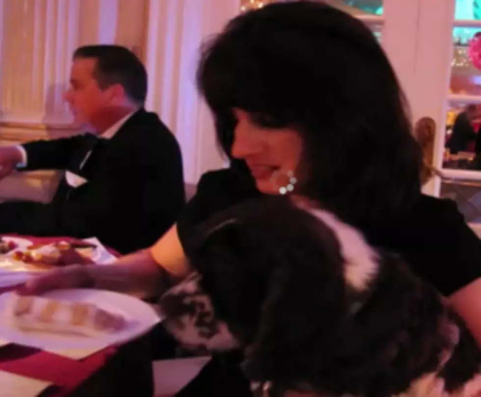 Two Dogs are Married in the World’s Most Expensive Pet Wedding [VIDEO]