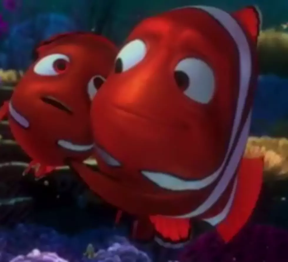 A New Version of &#8220;Taken&#8221; Starring the Cast of &#8220;Finding Nemo&#8221; [VIDEO]