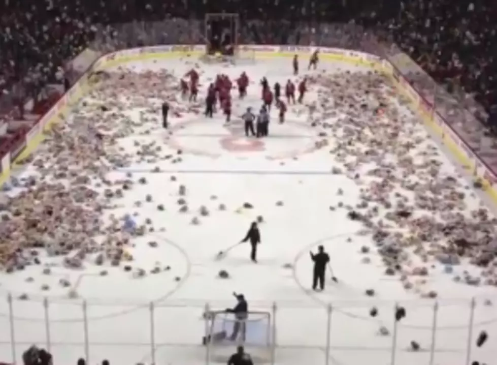 21,000 Teddy Bears in Less than Two Minutes? You Have to See This One [VIDEO]