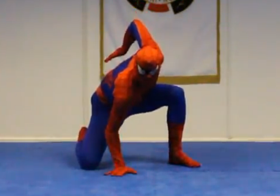 Attention Nerds: The REAL Spider-man Shows Off His Fighting Skills for YOU and a Fat Ninja [VIDEO]