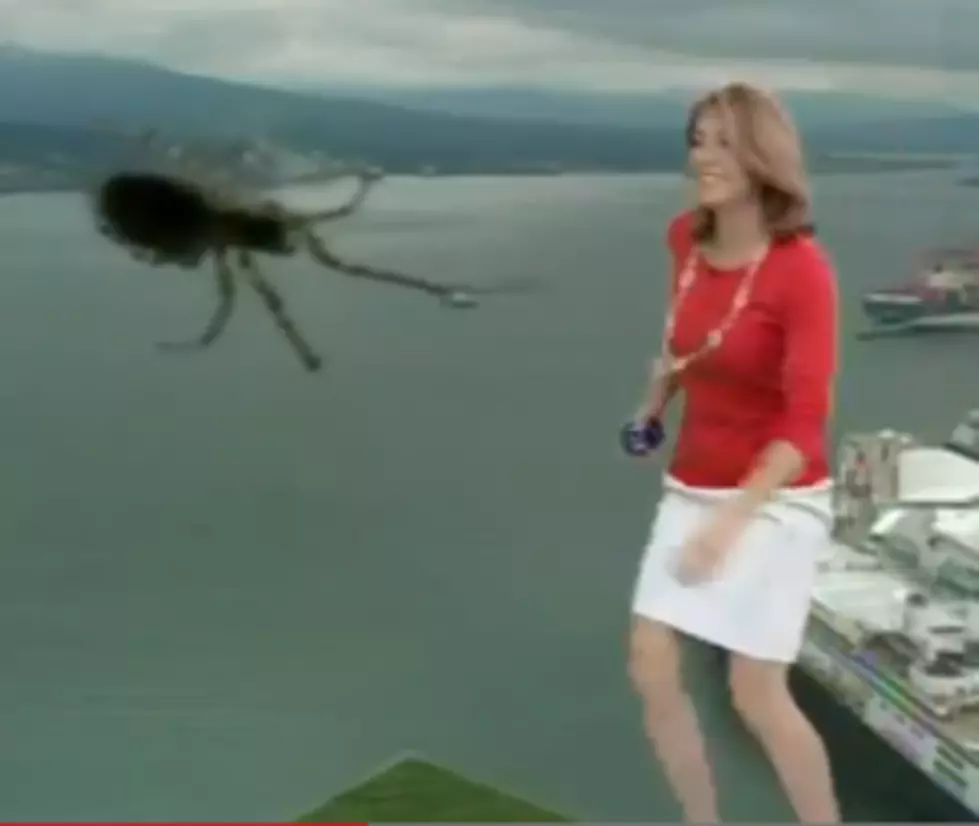 Arachnophobia is Real and This Weather Anchor&#8217;s On-Air Freak Out is Proof [VIDEO]
