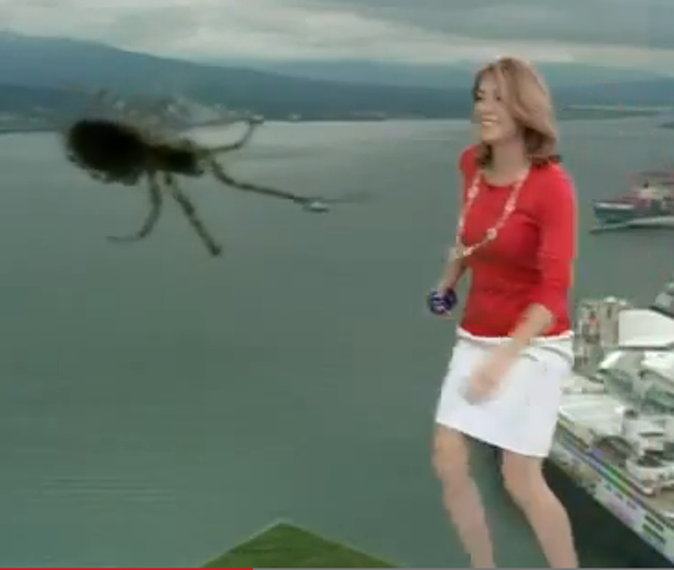 Arachnophobia is Real and This Weather Anchor’s On-Air Freak Out is Proof [VIDEO]