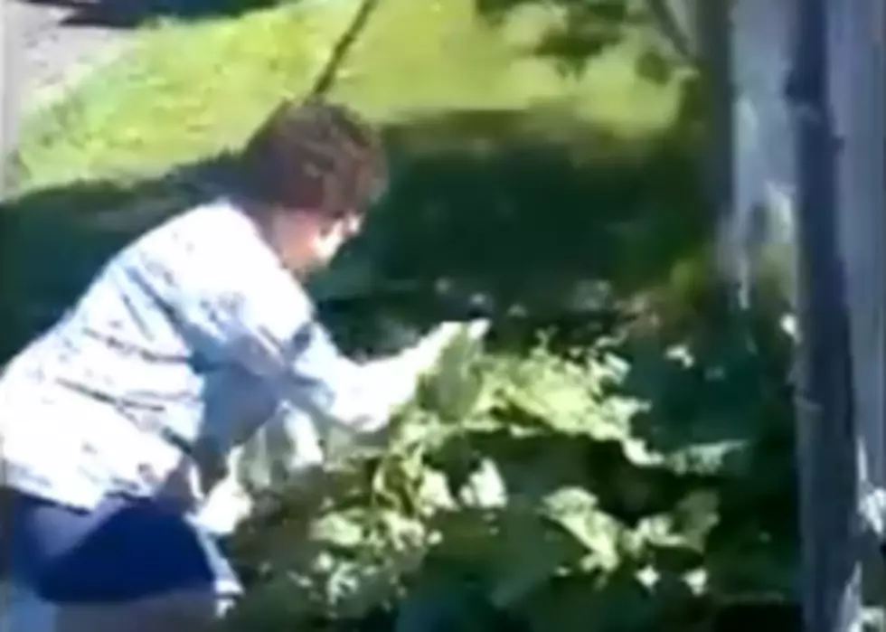 Check Out This Foul-Mouthed Granny Screaming at Her Neighbors While She Steals From Their Garden [VIDEO] NSFW