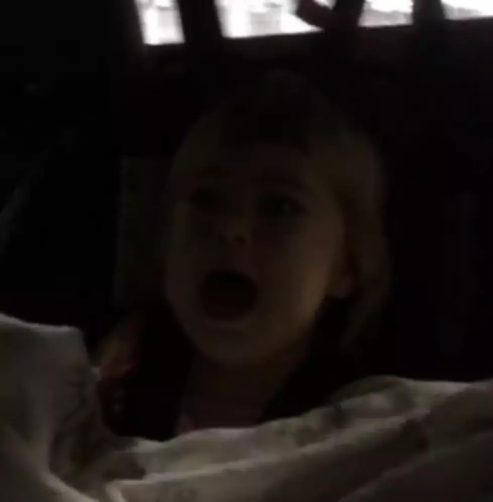 A Terrified Two-Year-Old Goes Through a Car Wash for the First Time [VIDEO]