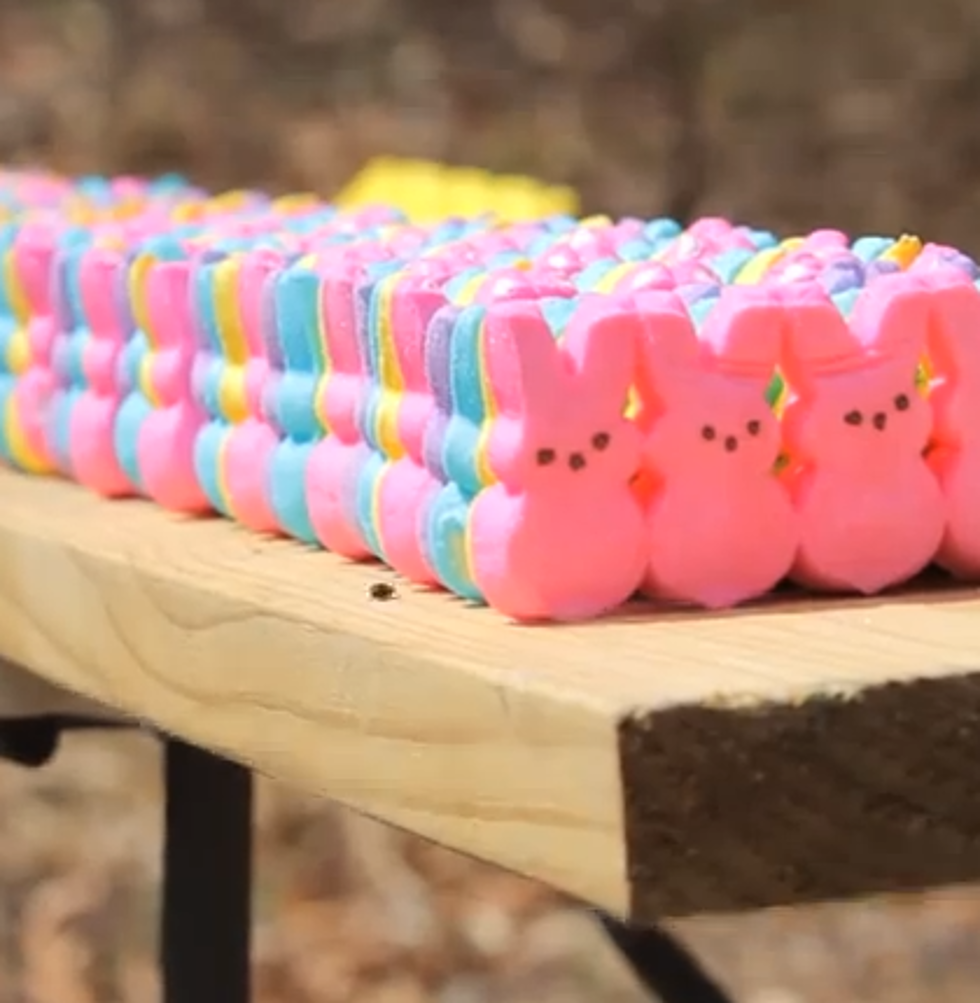 Easter is Over So What to Do with all These Left Over Peeps? Blow ’em Up! [VIDEO]