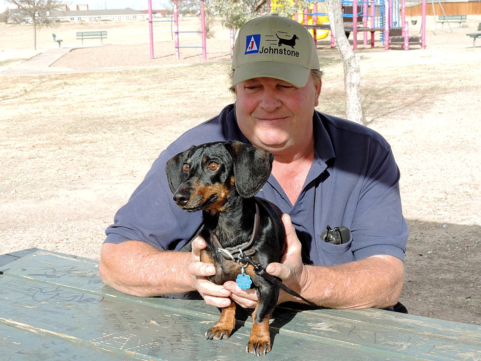 Lubbock’s Gunny the Dachshund Is Headed to the Wiener Nationals