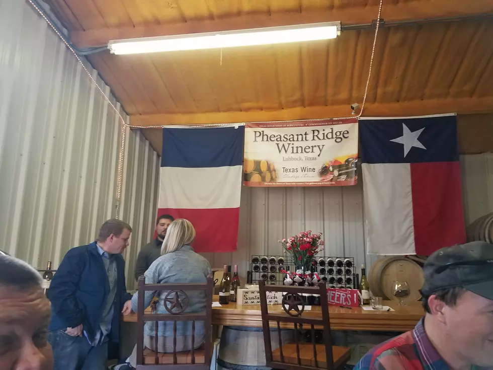 Lubbock&#8217;s Pheasant Ridge Winery Ranks In The Best 100 In The Country