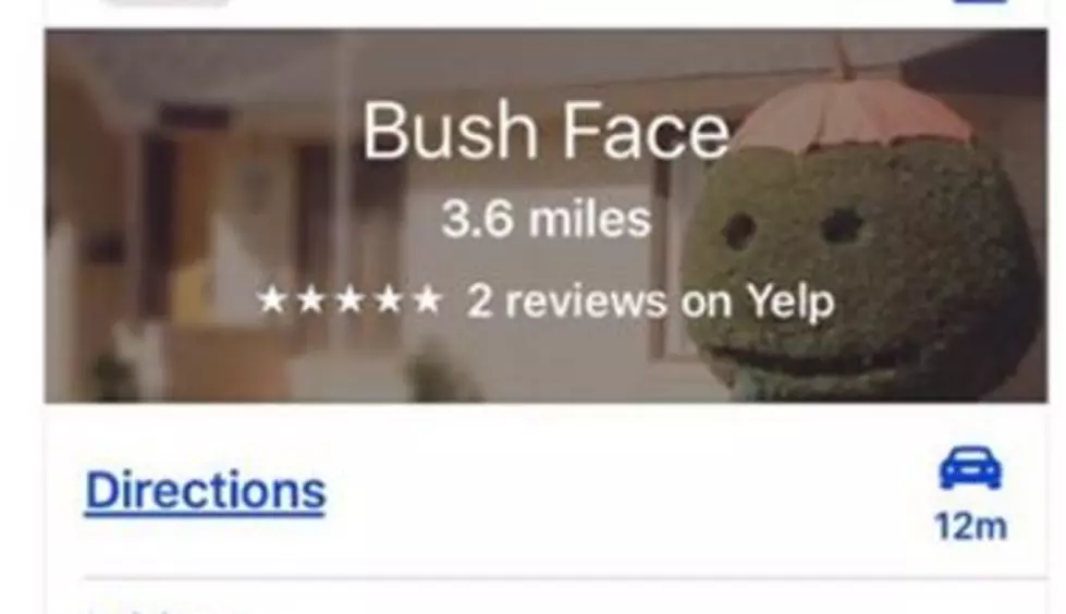 Lubbock&#8217;s Adorable &#8216;Bush Face&#8217; Has It&#8217;s Own Maps Location &#038; Yelp Reviews