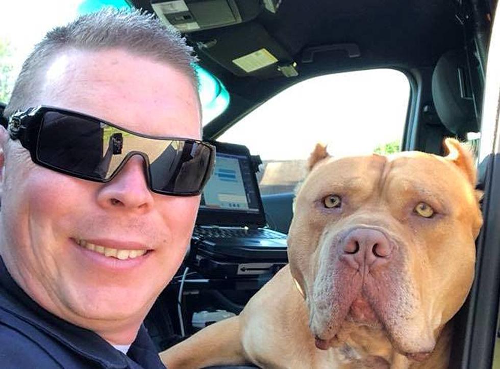 Texarkana Policeman’s Encounter With ‘Vicious Dog’ Ends Adorably