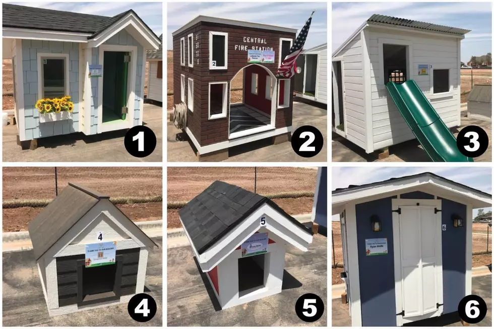 &#8216;Casas for CASA&#8217; &#8211; How You Could Win a Playhouse or Doghouse While Supporting a Great Cause