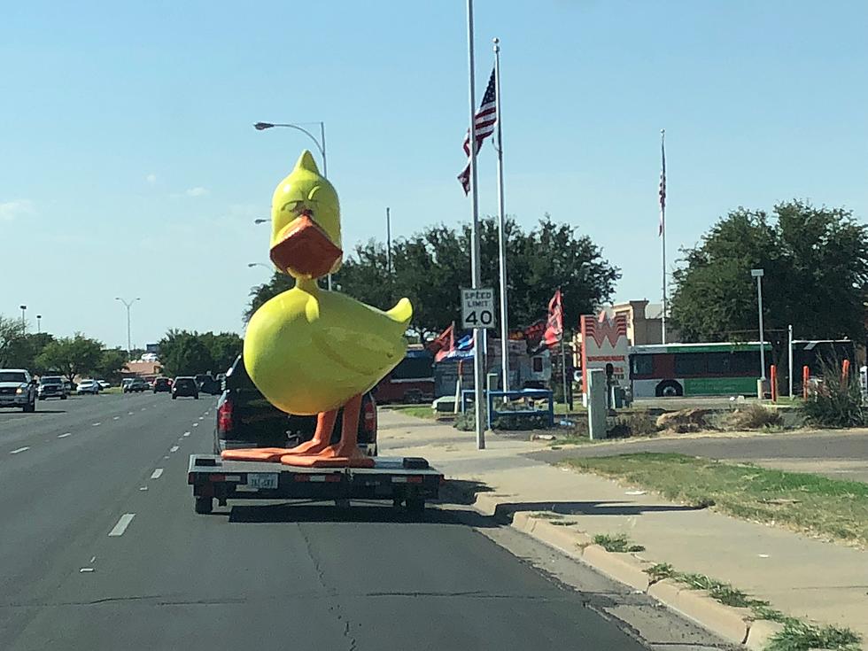 Someone Ran Over the Quick Quack Car Wash Duck’s Sunglasses [Photo]