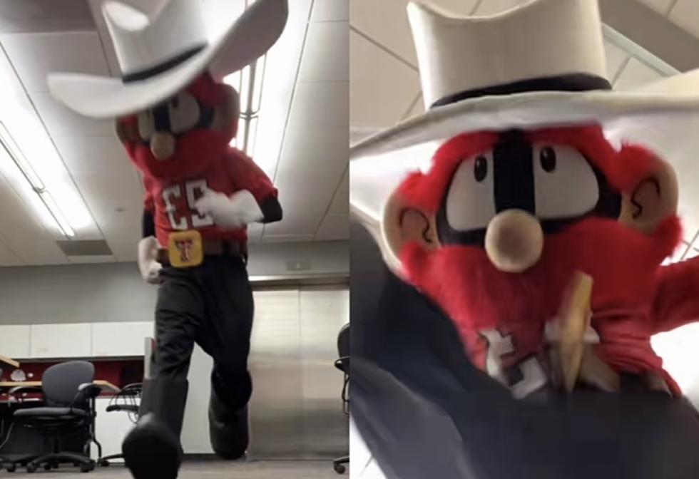 Raider Red Participates in Hilarious New TikTok Trend