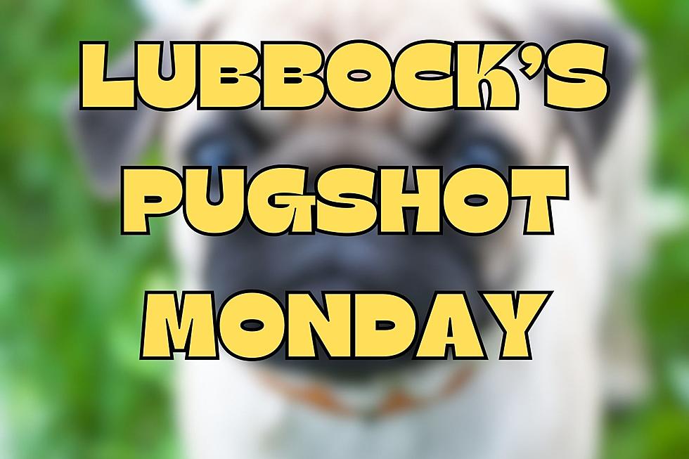 Lubbock's PugShot Monday - 9 Caught!
