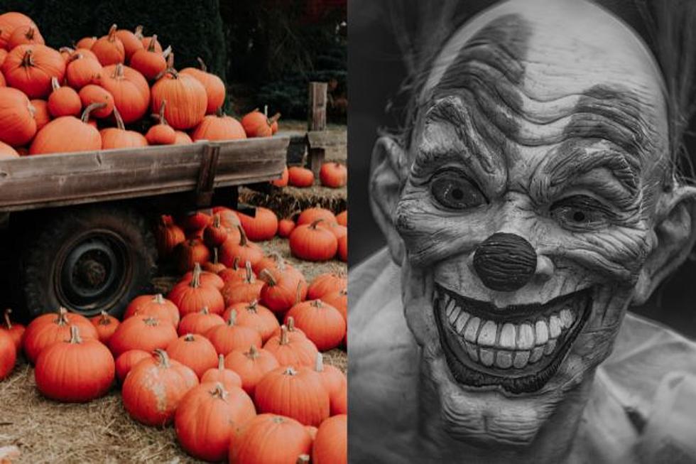 Lubbock Last-Minute Plans: Pumpkin Patches and Haunted Houses