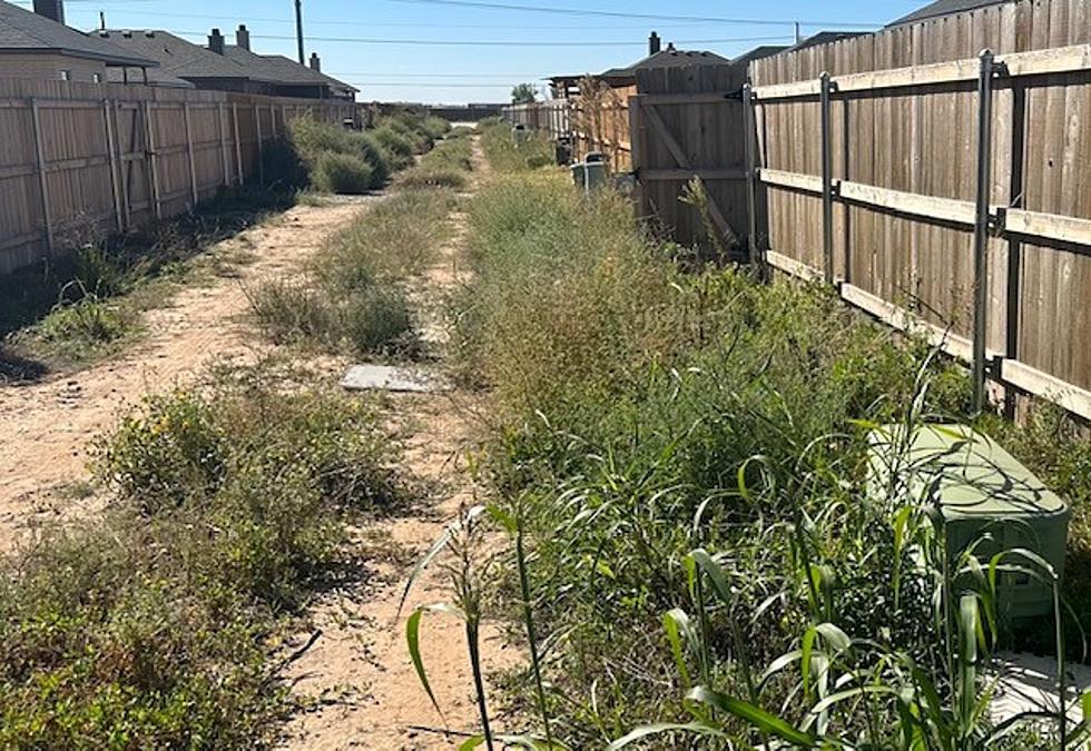 Yes, the City of Lubbock Will Actually Cite You for Weeds in Your Alley