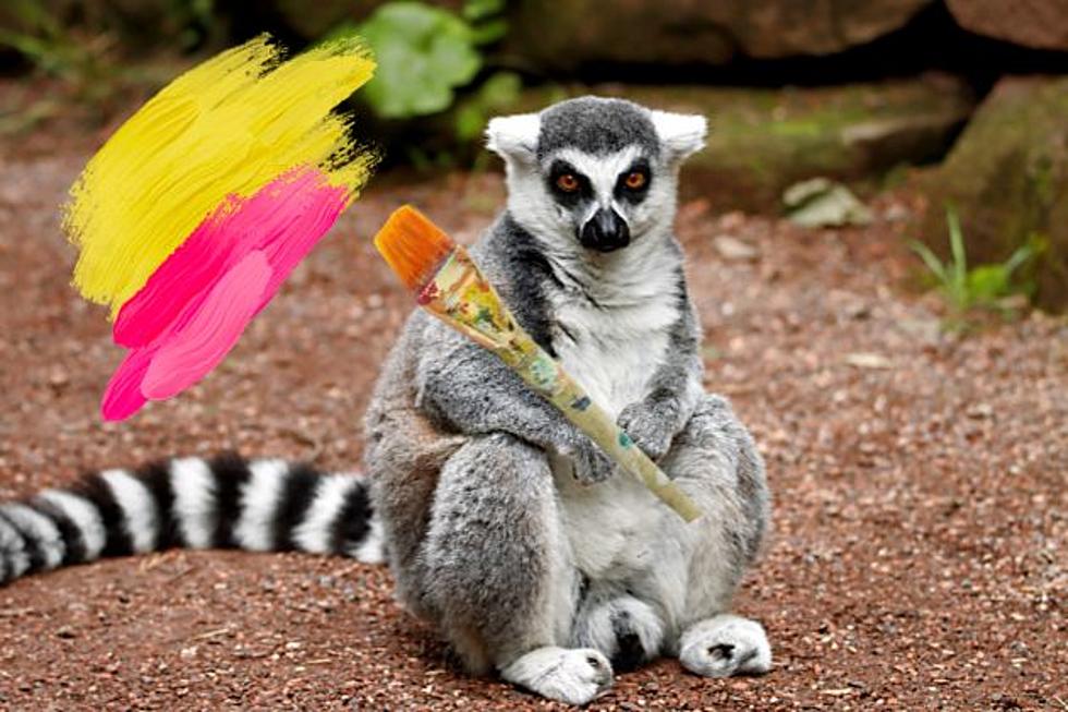 Lubbock Last-Minute Plans: Painting with Lemurs, Big Sales &#038; More