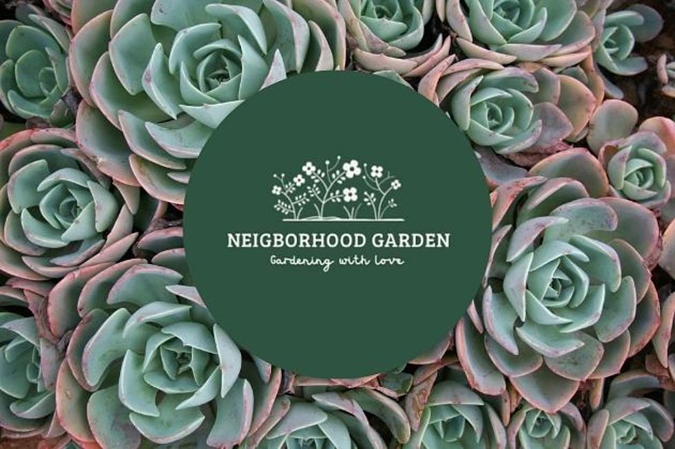 The New East Lubbock Neighborhood Garden is Coming Soon