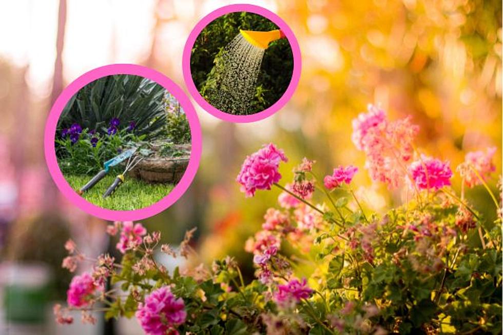 4 Tips for Bringing Dormant Lubbock Plants Back to Life   