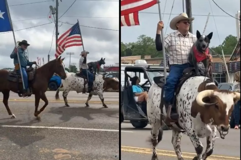 Yee-HAW! Bless Your Eyes And Watch This Video of the Most Texan Thing EVER