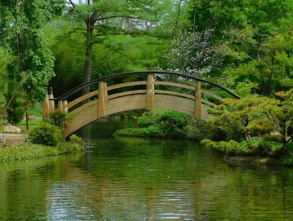 Beautiful Japanese Gardens You Can Visit Around Texas