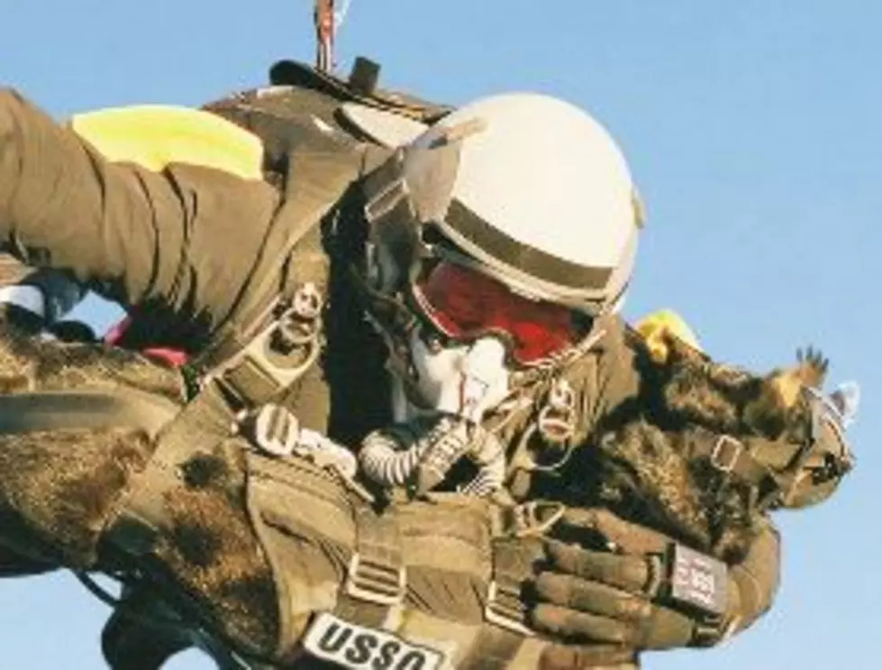 Photo of the Day: The Navy SEALs Have an Elite Dog Team [PHOTO]