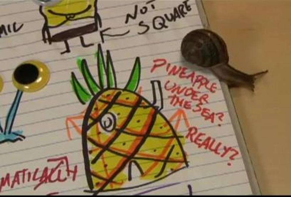 A Mathematician on YouTube Says SpongeBob’s House Can’t Possibly Be a Pineapple [VIDEO]