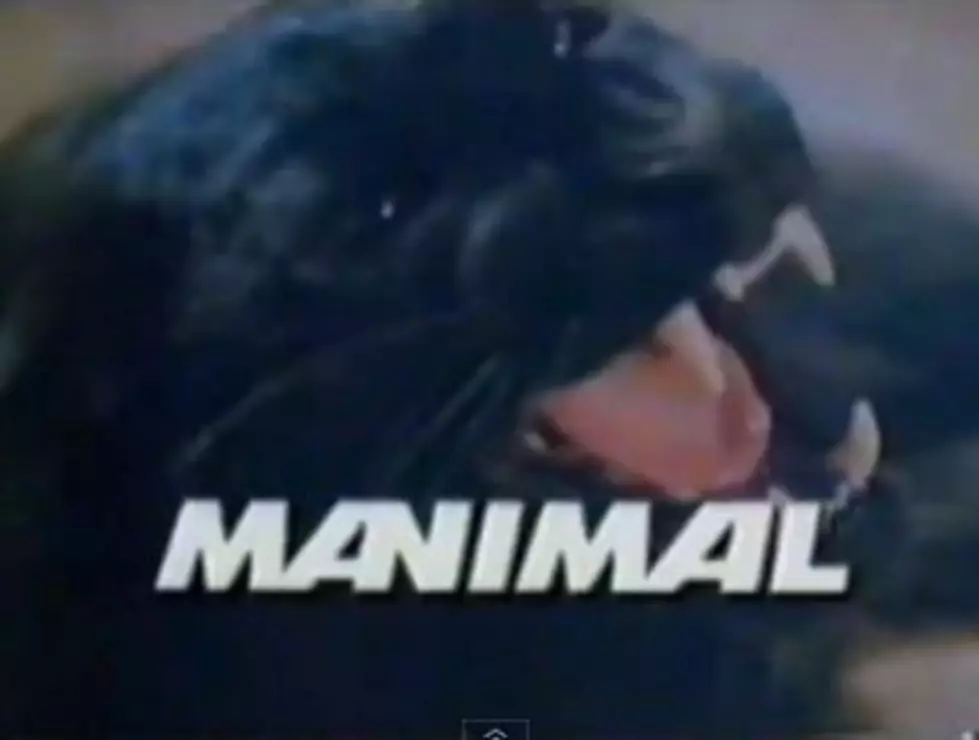 A ‘Manimal’ Movie is In the Works!
