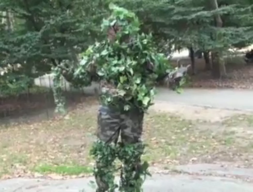 A Guy Disguised Himself as a Bush, Then Went to Central Park to Scare People Who Walked By