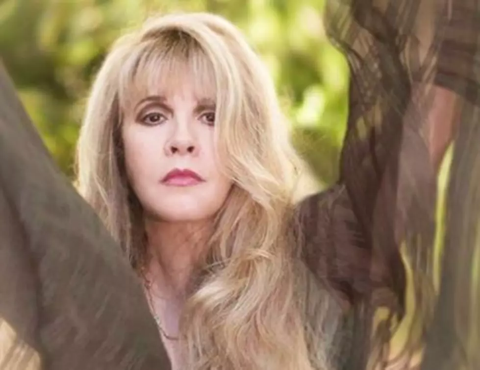 Stevie Nicks Says If She Were Mariah Carey, She Would Have Killed Nicki Minaj and Gone to Prison For It