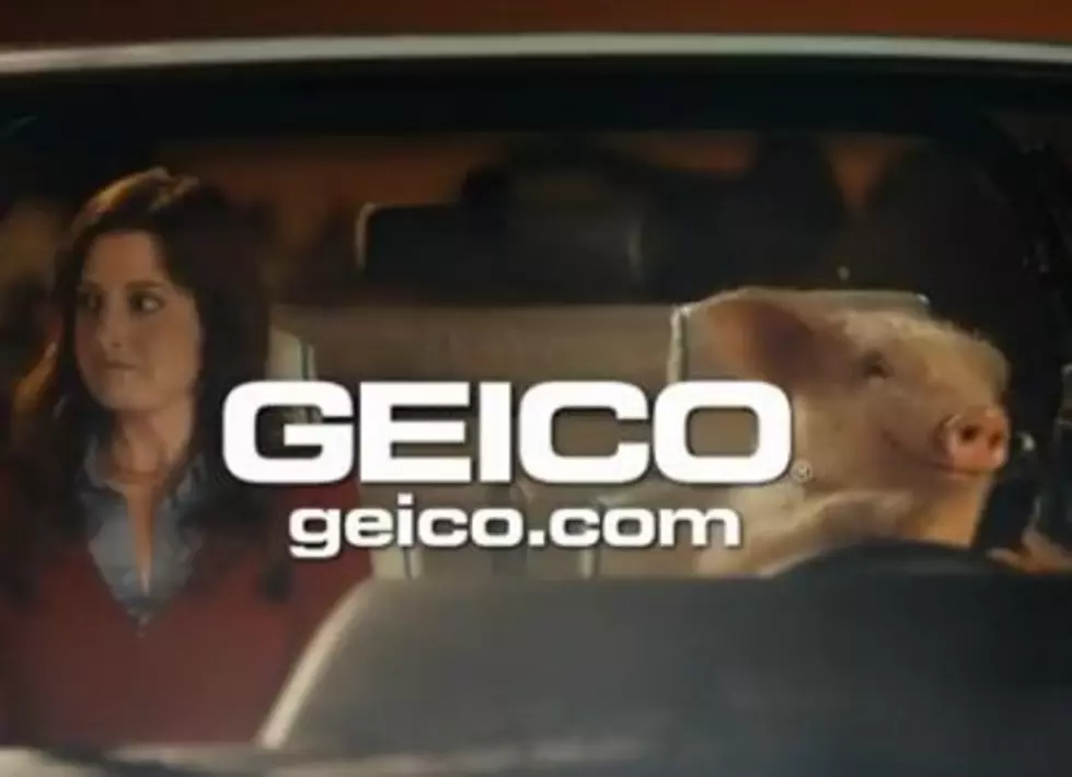 Does a GEICO Commercial Promote Bestiality Because a Woman Hits on a Pig?