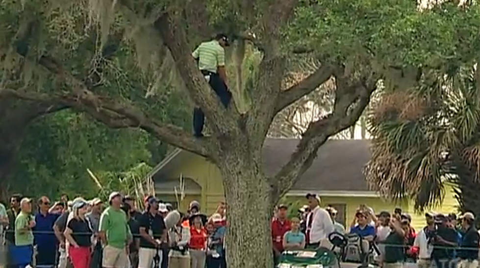 Sergio Garcia’s One-Handed Second Shot…From a Tree