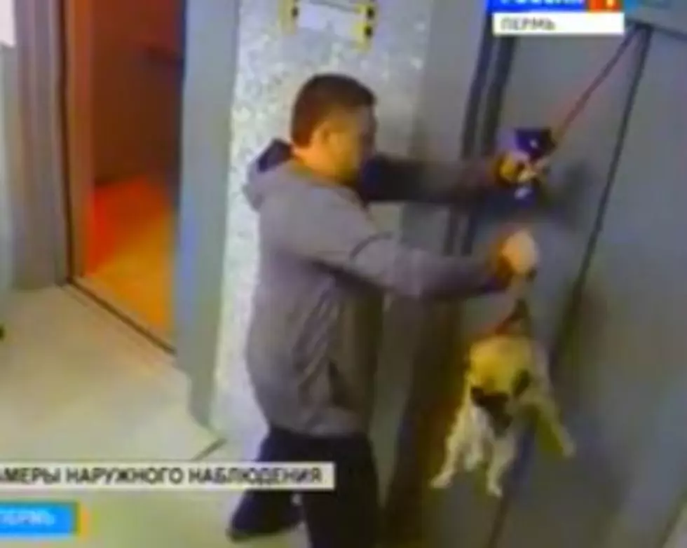 A Dog’s Leash Got Caught in an Elevator, and a Bystander Saved It Just in Time
