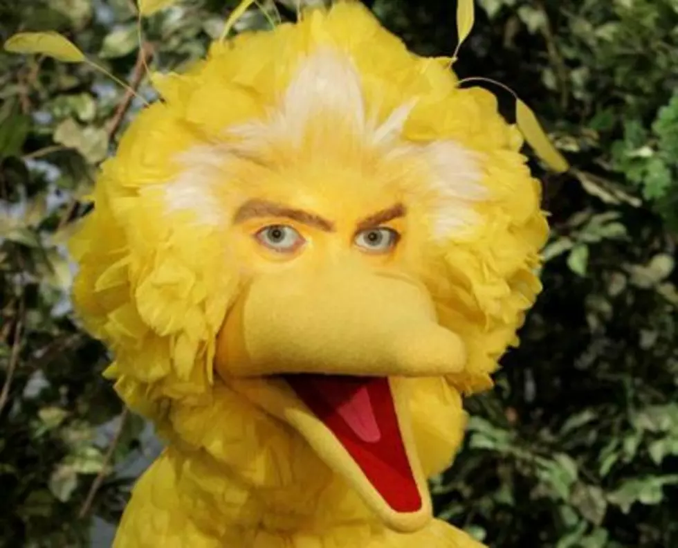 Check Out This Creepy New Blog: &#8220;Muppets With People Eyes&#8221;