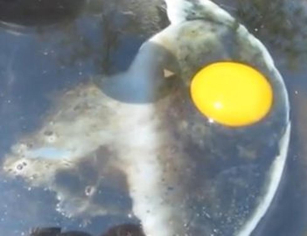 Park Rangers in Death Valley Want You to Stop Trying to Fry Eggs on the Pavement