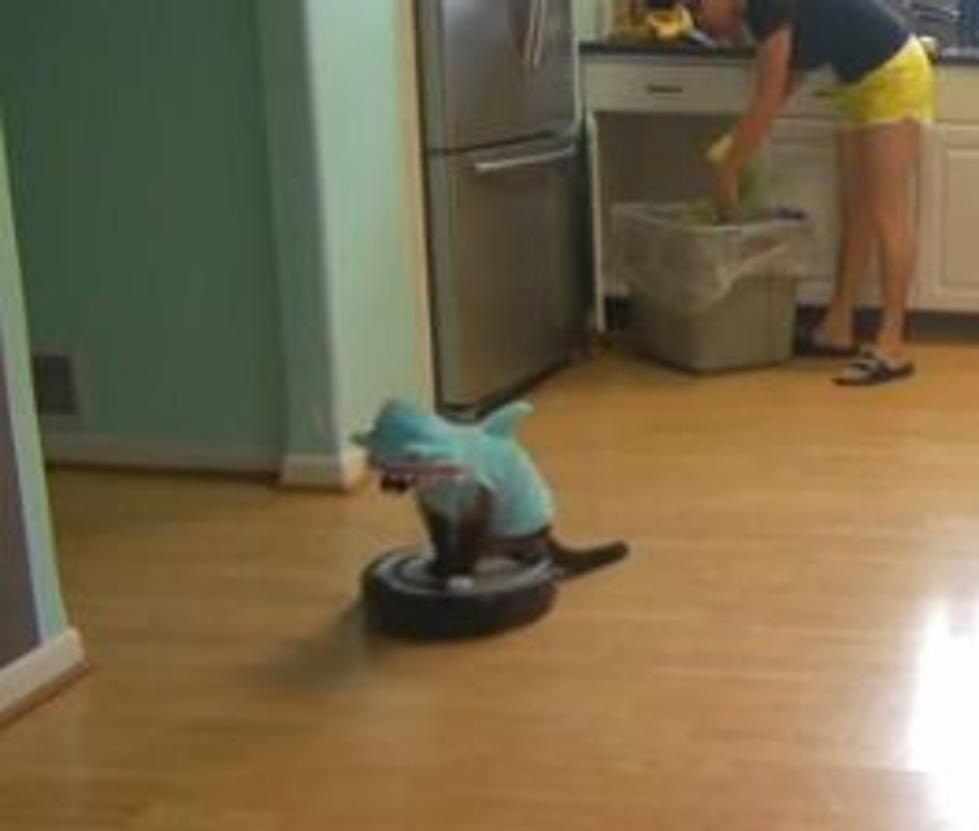Happy Shark Week! Here’s a Cat in a Shark Costume Riding a Roomba