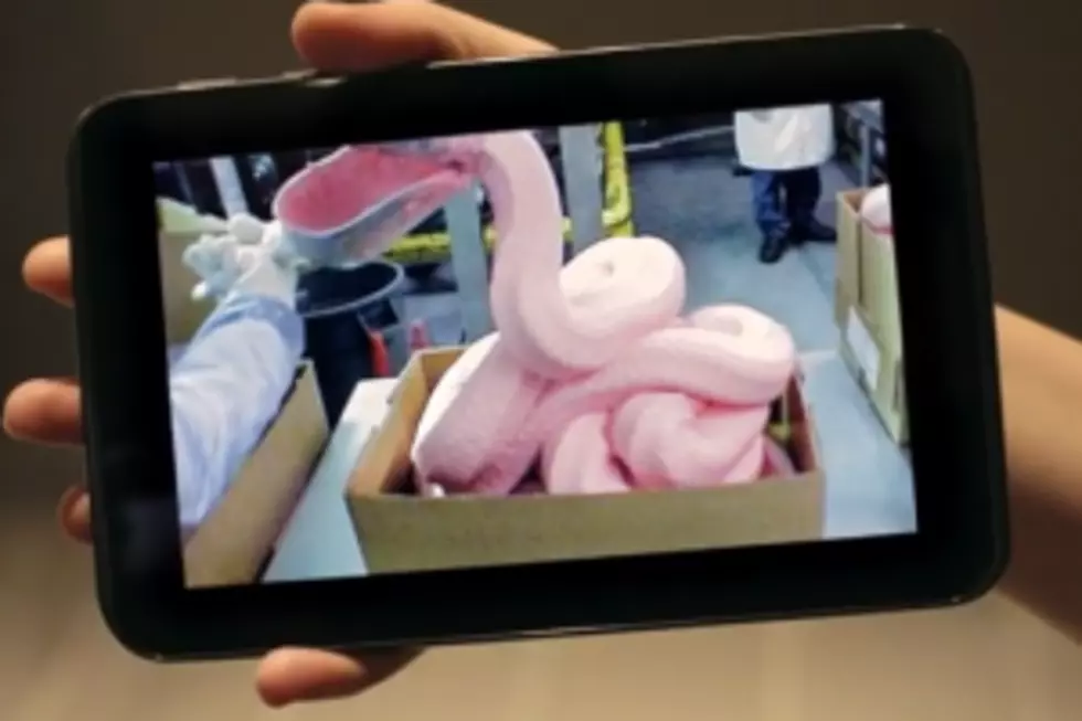 Does McDonald’s Really Use Pink Goop in Their Chicken McNuggets? [VIDEO]