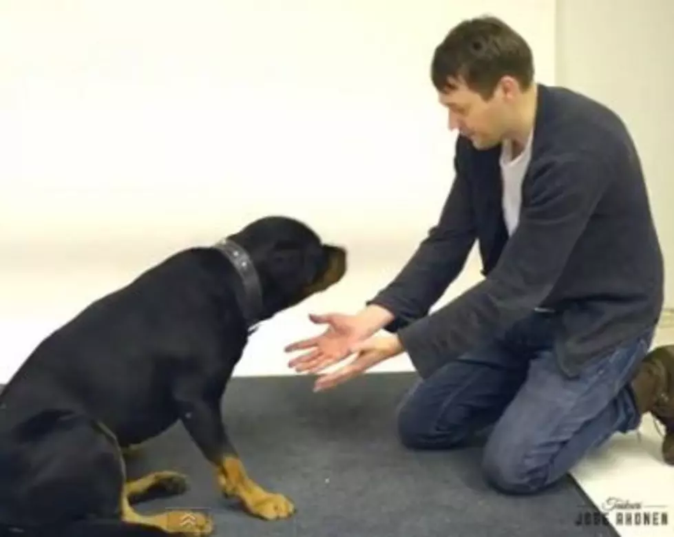Watch a Magician Offer Dogs a Treat&#8230;But Then Use Slight-of-Hand Magic to Make the Treat Disappear