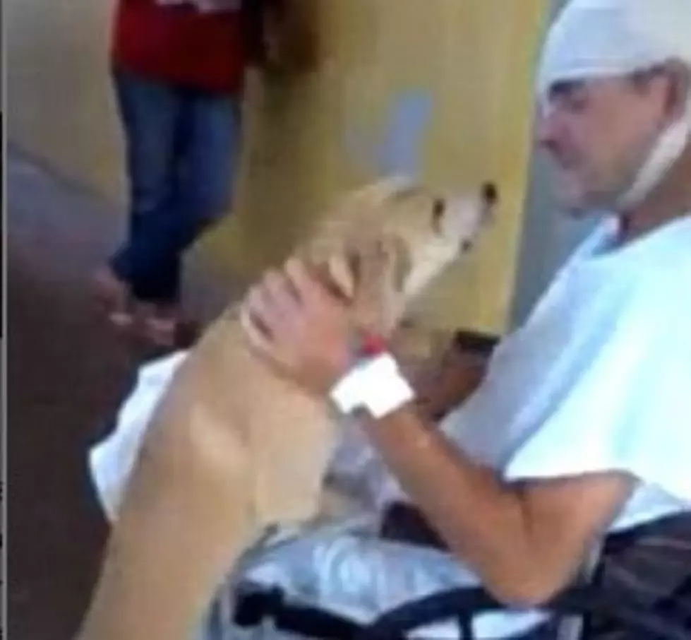 A Homeless Guy Has Been in the Hospital for Two Weeks…And His Dog Is Still Waiting for Him Outside