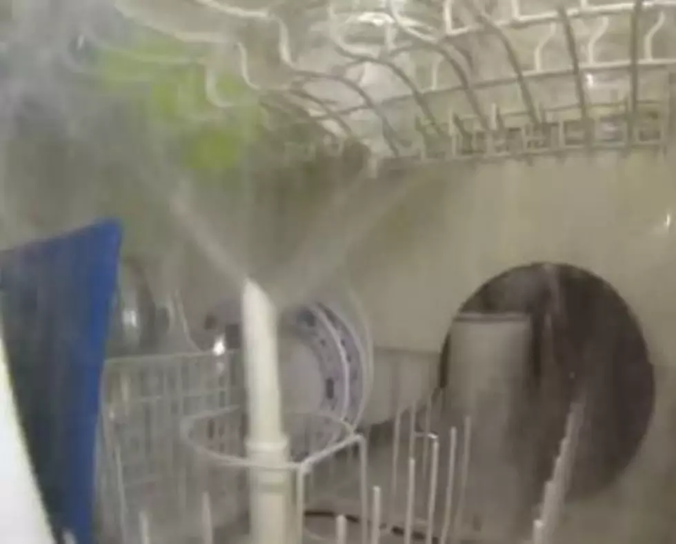Here’s What Goes on Inside a Dishwasher